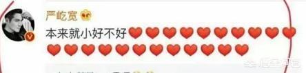 杜若溪图片:为什么这么多人羡慕严屹宽和杜若溪的爱情故事？