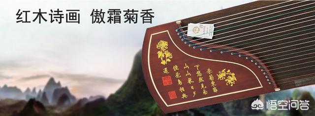 鹩哥说话教材你好优酷:一点基础都没有，退休后学点什么乐器好学又好听？