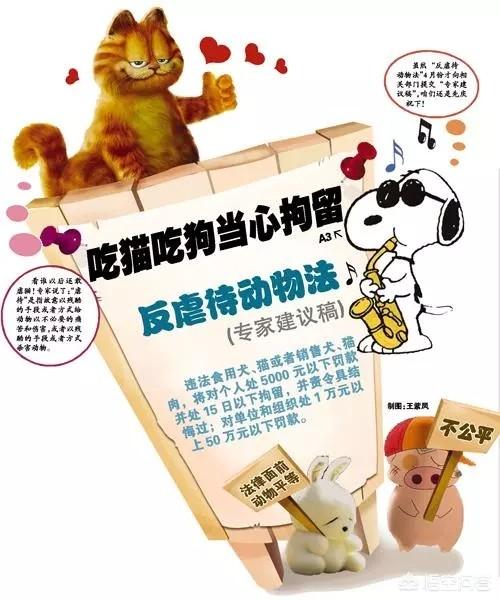 一头救助犬的最后遗言:应不应该私人救助流浪狗？还是应该交给国家专门机构？ 救助犬的最后遗言