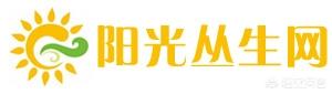 有什么好的、不犯法的偏门生意？