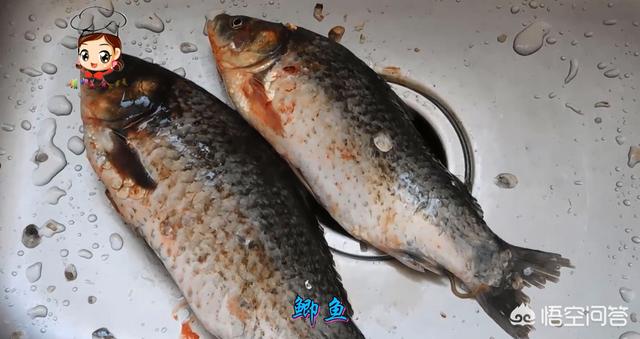 头条问答- 炖的鱼汤腥味很重怎么办？怎么炖鱼汤才好喝？(274个回答)