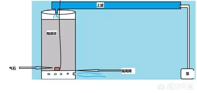 过滤桶用什么滤材:鱼缸反气举里应该放些什么滤材？