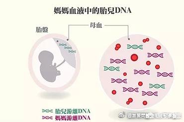 孕期如何做亲子鉴定:孕期DNA亲子鉴定可以取静脉血吗？(孕妇静脉血亲子鉴定可靠吗)