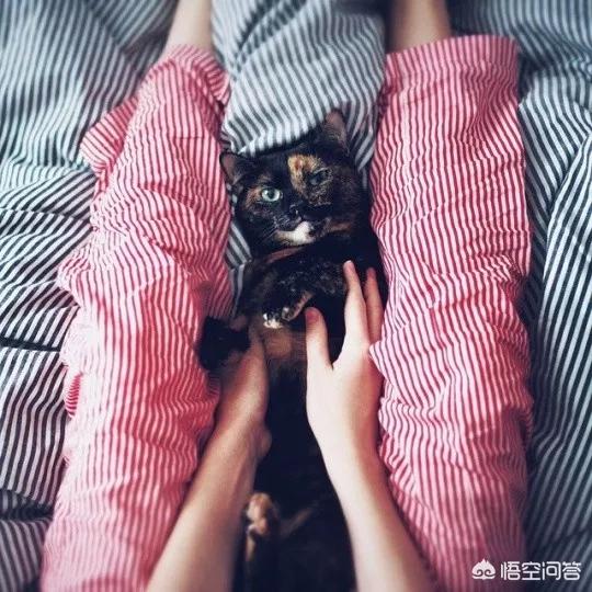 春节如何在<a href=https://maguai.com/list/256-0-0.html target=_blank class=infotextkey><a href=https://maguai.com/list/256-0-0.html target=_blank class=infotextkey>朋友圈</a></a>优雅的晒照片