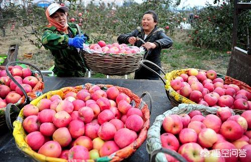 沈阳有哪些在国际上有名气的特色名优产品？