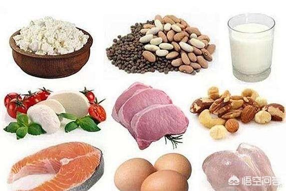 #你吃对了吗# 只有鸡鸭鱼肉中才含有优质蛋白质吗？