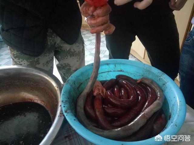 哈尔滨人过年吃什么，黑龙江省春节期间有哪些有那些美食？