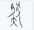 关于华人与狗的历史:今年是狗年，在中国历史上，狗扮演了怎样的角色？