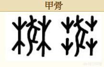 关于华人与狗的历史:今年是狗年，在中国历史上，狗扮演了怎样的角色？