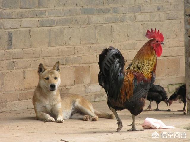 头条问答 上联 银花火树映乾坤 下联怎么对 92个回答