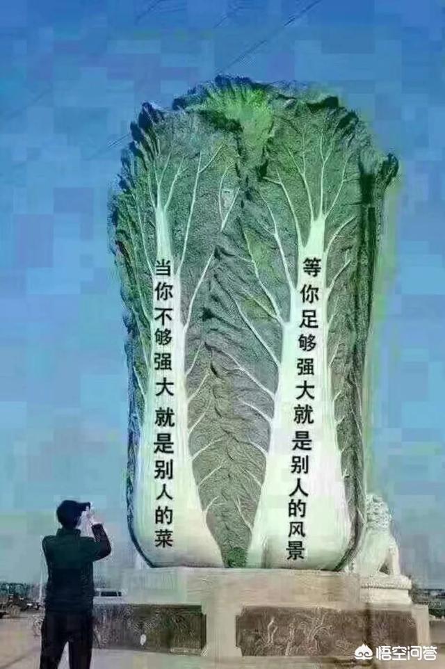 华为国产芯片麒麟系列还需要多久才能赶上高通,超过苹果？