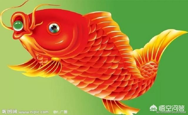 新年就快要到了,还记得小时候新年贴墙头上抱鲤鱼的胖娃娃吗？