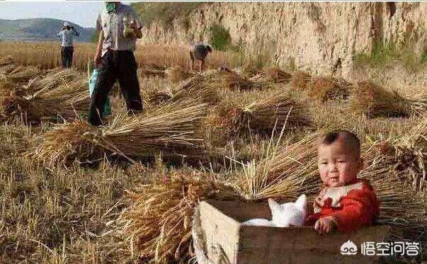 特爱干净的人会很穷吗,为什么越脏的人越不生病？