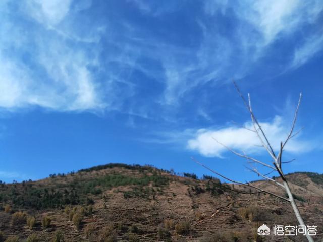 龙应台的丈夫:龙应台写给儿子安德烈的一段话的话出自哪里
