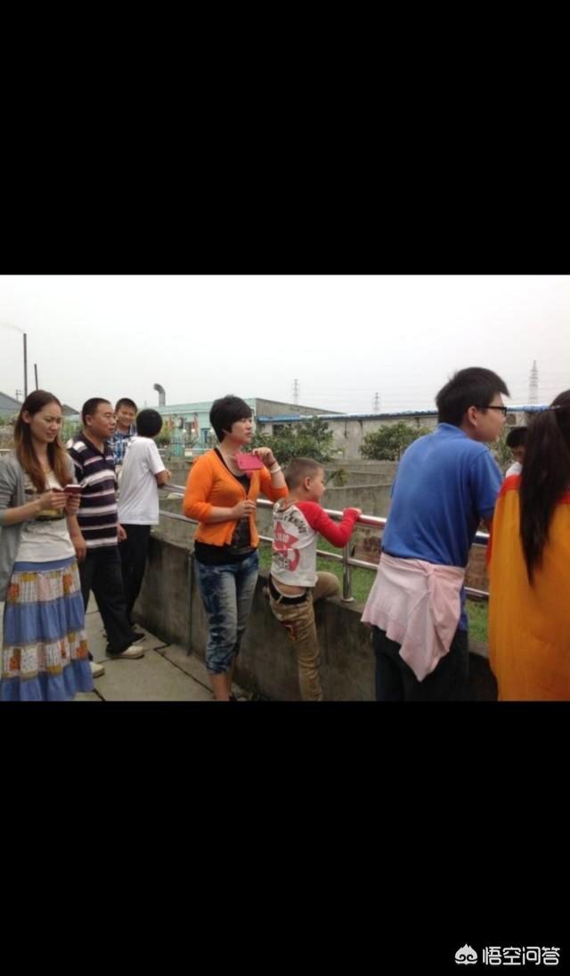 铁头蛇位于哪里:烙铁头蛇主要分布在哪 浙江一个百人村落为何盘踞着数百万条有剧毒的蛇？