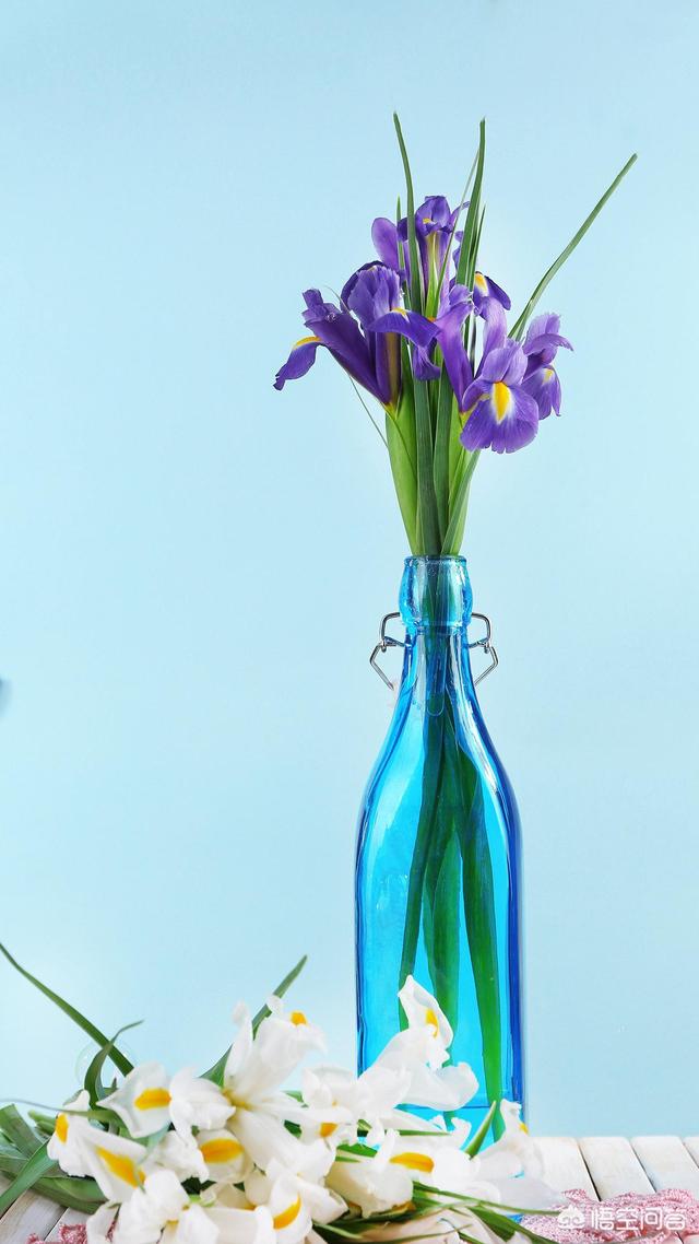 <a href=https://maguai.com/list/256-0-0.html target=_blank class=infotextkey><a href=https://maguai.com/list/256-0-0.html target=_blank class=infotextkey>朋友圈</a></a>句子大全唯美短句:能分享一些你认为特别优美的句子吗？
