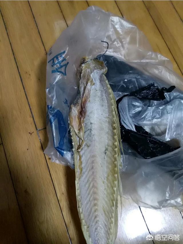 头条问答 - 大姑娘鱼做法?(4个回答)