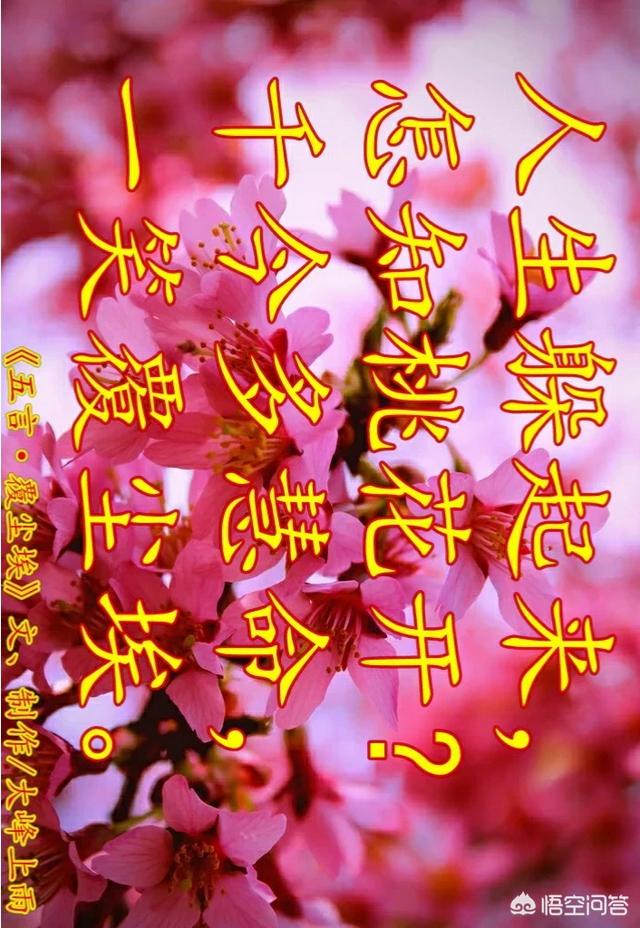王安石是是著名文学家,还是政治家,他的主要政绩是什么？