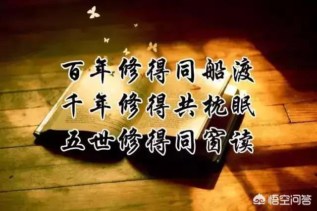用什么词形容同学情？