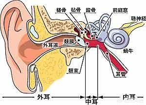 男童感冒后急性中耳炎吃什么药:感冒会引起小儿中耳炎吗？