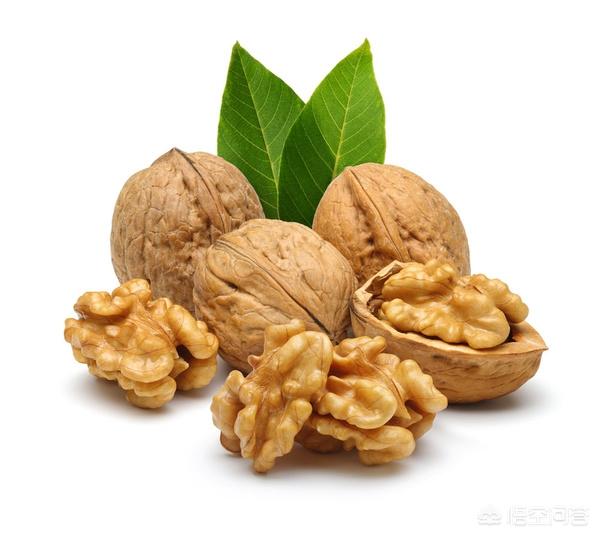 一个成年人每天吃多少核桃对身体有益?