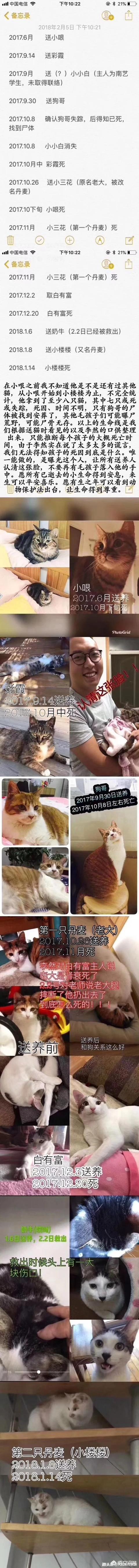 宠物领养中心:潍坊宠物领养中心在哪儿？