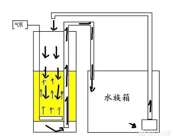 过滤桶用什么滤材:鱼缸反气举里应该放些什么滤材？