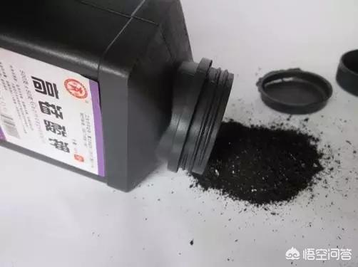 024观赏鱼论坛哪去了:在家里养金鱼，平时怎么喂食和维护水质？
