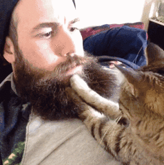 qq表情 卖萌猫:当猫咪跟你撒娇时，你的心情是怎样的？