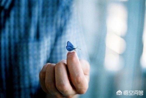 适合每天分享的短句:有哪些超现实的短句子值得分享？
