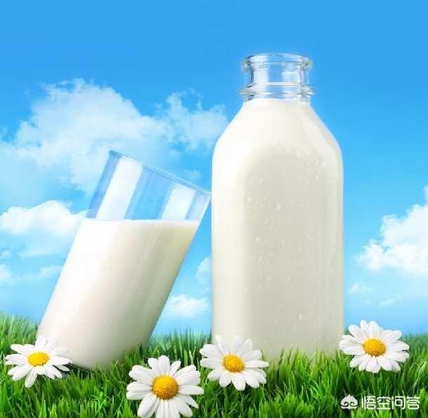 如何给孩子选好牛奶，宝宝3岁吃什么牛奶比较合适呢