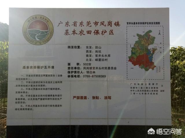 东莞有农村吗？