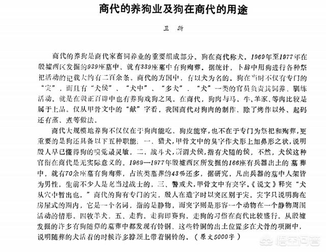 关于华人与狗的历史:今年是狗年，在中国历史上，狗扮演了怎样的角色？