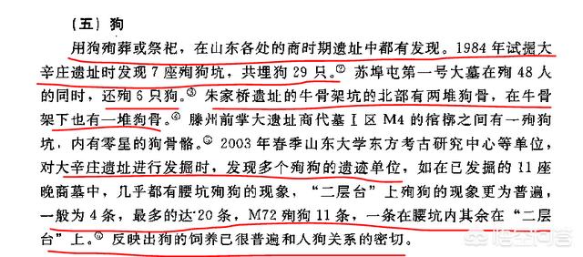 关于华人与狗的历史:今年是狗年，在中国历史上，狗扮演了怎样的角色？