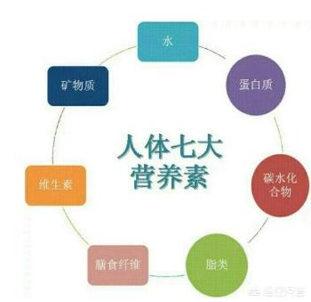 人体营养素:什么是营养素，微量元素和膳食纤维是营养素吗？