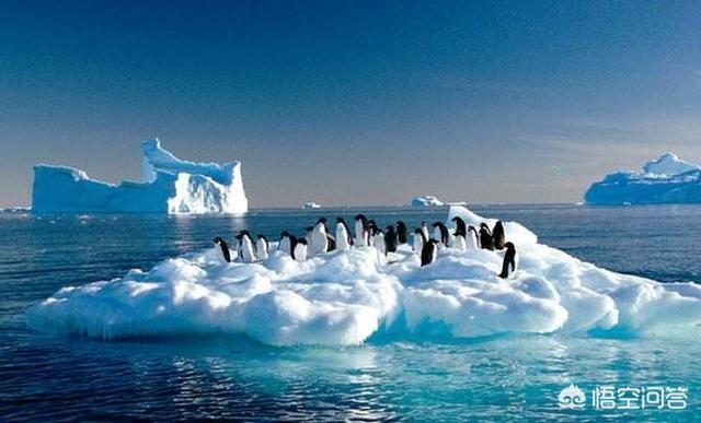 南北极融化了会发生什么事，南北极的冰山融化对世界有多大的危害