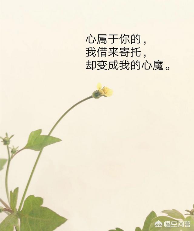 表达心情不好的句子和图片:大家有没有伤感的句子和图片？