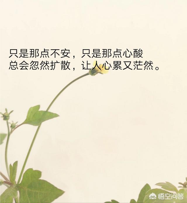 表达心情不好的句子和图片:大家有没有伤感的句子和图片？
