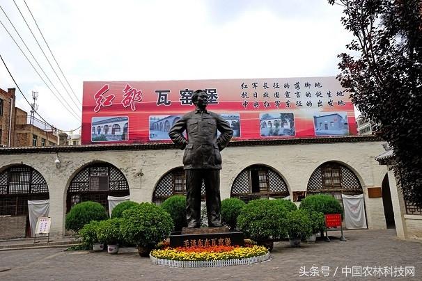 刘希平:推荐几本能提高能力和口才或者交际能力的书