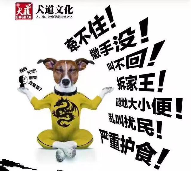 拉布拉多犬性格:拉布拉大概养多久才能听话？