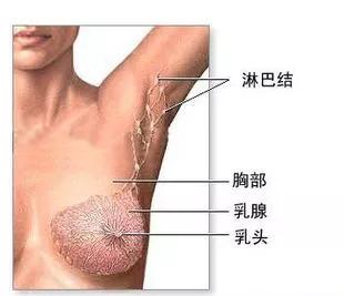 哺乳时乳腺炎的症状是什么:哺乳乳腺炎的症状表现有哪些 乳腺炎患者能喂奶吗，产后为何会有乳腺炎？