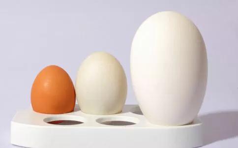 鹅蛋的营养和功效，鹅蛋的营养价值与功效是什么