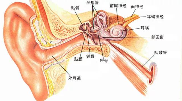 头条问答 - 呼吸气压起伏耳膜能直接感受到,这是什么病?(3个回答)