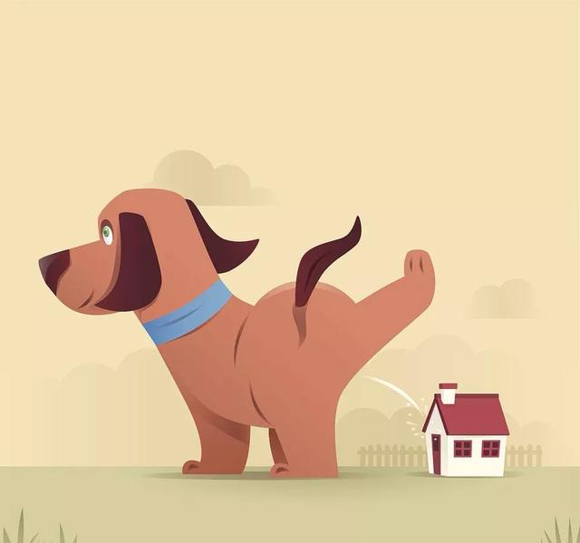 人和狗分开之后，狗狗还会记得以前的主人吗？插图64