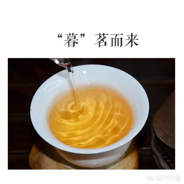 什么样的茶适合煮着喝,哪种普洱茶更适合煮着喝？