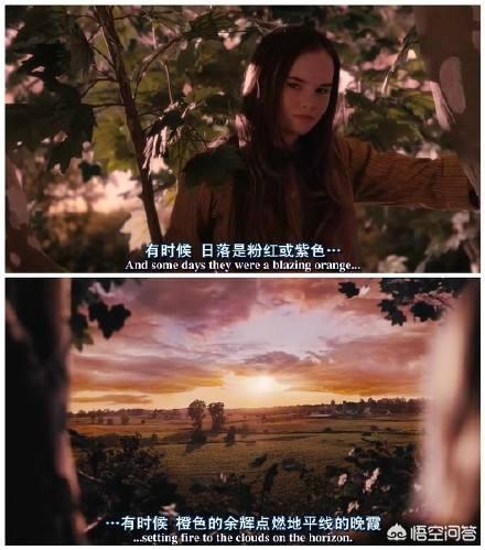 怦然心动经典台词:电影里有哪些让你念念不忘的经典台词