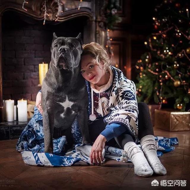 小犬与女孩国语高清:影视作品中有哪些让你觉得无法理解甚至很奇葩的“感情戏”？