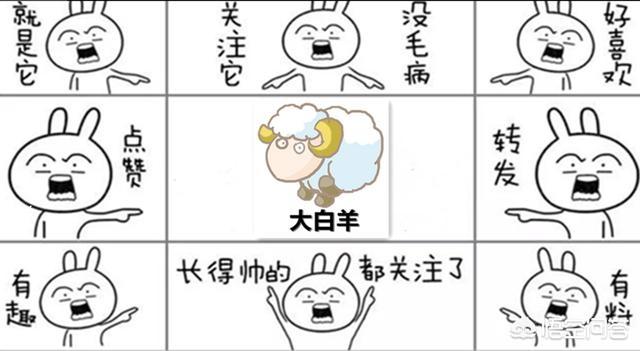 你在CF手游中遇到过哪些外挂呢？