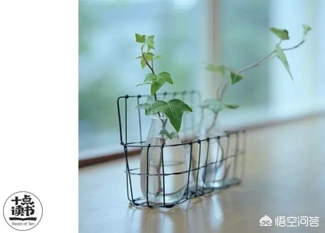 做一个精致女人，要注意哪些细节？插图34