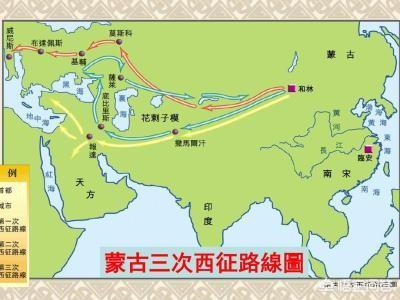 鬼脸獒王咬死狮子:藏獒群中的獒王是什么样子的？为什么？